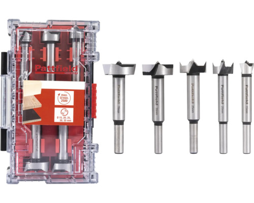 Set burghie Forstner Pattfield cu diferite dimensiuni în cutie de depozitare