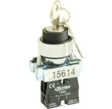 Întrerupător cu cheie cu cheie