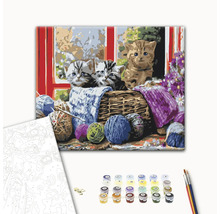 Set de pictură după numere cu motiv cu pisici, culori și pensule