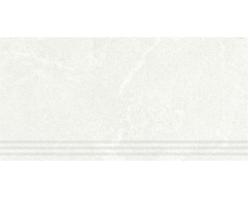 Treaptă gresie rectificată Cesarom Therme gri 30x60 cm | HORNBACH