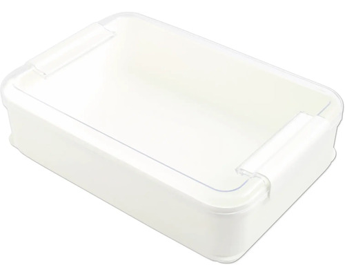 Cutie de depozitare din plastic cu capac transparent