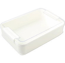 Cutie de depozitare din plastic