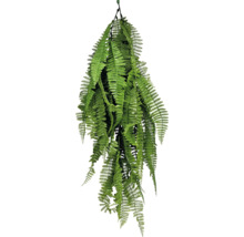 Plantă suspendată cu frunze de ferigă