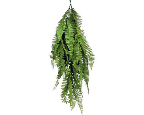 Plantă suspendată cu frunze de ferigă
