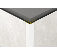 Vedere din colț cu plăci, șină pentru plăci și plintă