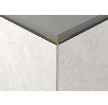 Colț de perete cu șină de faianță