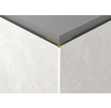 Vedere din colț a unui tavan cu profil pentru gresie