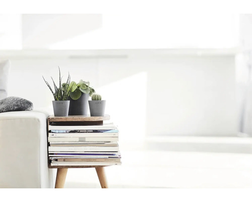 Măsuță laterală din lemn cu trei plante de apartament mici în ghivece gri și un teanc de reviste într-o cameră de zi luminoasă.