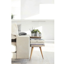 Scenă de living luminoasă cu o canapea albă și o măsuță laterală mică din lemn cu un teanc de reviste și trei plante de interior mici.