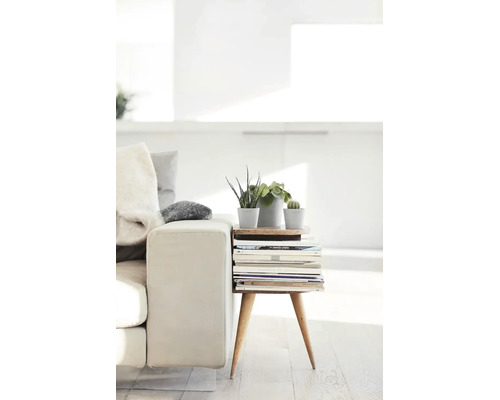 Scenă de living luminoasă cu o canapea albă și o măsuță laterală mică din lemn cu un teanc de reviste și trei plante de interior mici.