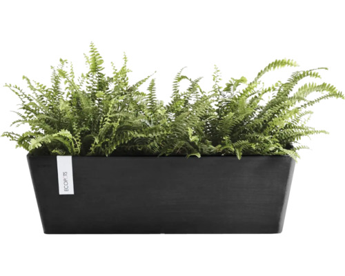 Ghiveci dreptunghiular negru Ecopots cu ferigi verzi.