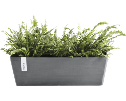 Ghiveci dreptunghiular Ecopots antracit din plastic reciclat cu ferigi verzi.