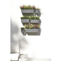 Ghivece de perete gri cu iarbă neagră și plante verzi, dispuse ca o grădină verticală organizată pe un perete de terasă luminos.