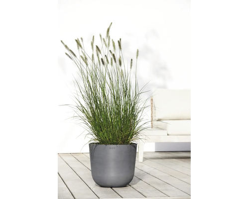 Ghiveci Ecopots gri modern cu iarbă ornamentală înaltă pe o terasă din lemn deschis la culoare, în fața unui perete alb și a mobilierului de grădină.