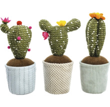 Trei cactusi decorativi în ghiveci