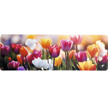 Tablou decorativ de perete cu o vedere panoramică a lalelelor colorate în plină floare.