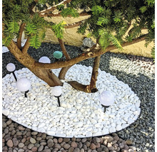 Scenă de grădină cu copac, pietre decorative albe și lumini sferice