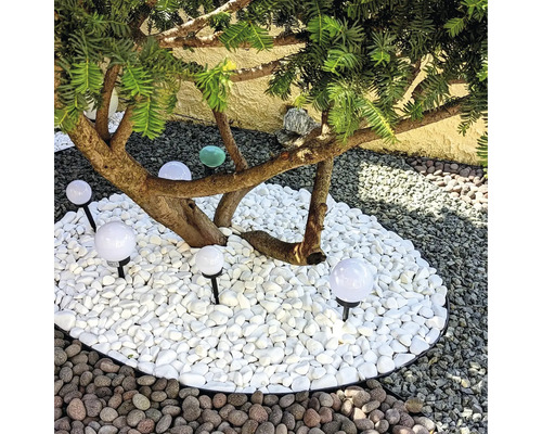 Scenă de grădină cu copac, pietre decorative albe și lumini sferice