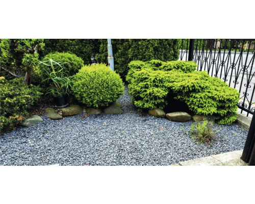 Alei de grădină cu pietriș și arbuști ornamentali