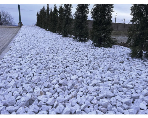 Scenă de grădină cu pietriș decorativ alb și plante verzi