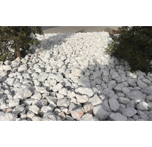 Pietriș decorativ alb ca decorațiune de grădină