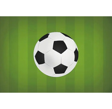 Minge de fotbal pe gazon