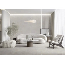 Living luminos cu canapea, fotoliu, masă, taburet și plantă de interior