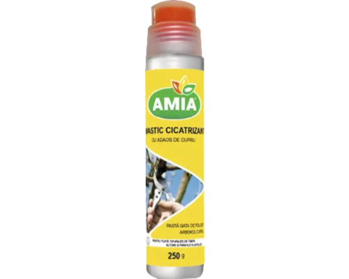 Plastic cicatrizant AMIA, 250 grame