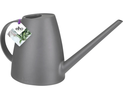 Udător de flori gri cu gât lung