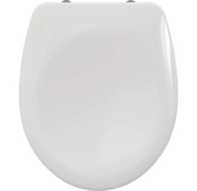 Capac de toaletă din ceramică sanitară