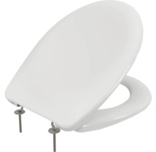 Capac de toaletă din ceramică sanitară cu material de fixare