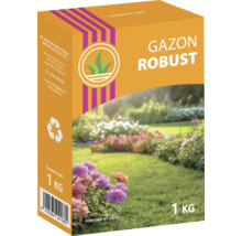 Pachet de semințe de gazon pentru gazon robust, 1 kg