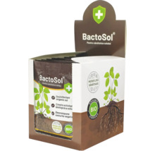 Cutie de prezentare BactoSol pentru îmbunătățirea solului