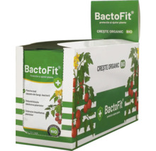 Pachet BactoFit de protecție și ajutor pentru plante