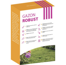 Ambalaj cu amestec de gazon Gazon Robust cu instrucțiuni de îngrijire a gazonului.