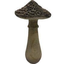 Ciupercă decorativă pentru grădină