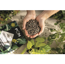 O mână de substrat de plantare Lechuza Pon deasupra unui pachet și a unor plante