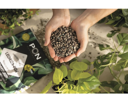 O mână de substrat de plantare Lechuza Pon deasupra unui pachet și a unor plante