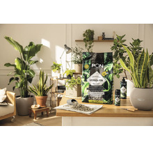 Substrat de creștere LECHUZA-PON pentru plante de apartament pe o masă cu plante de apartament