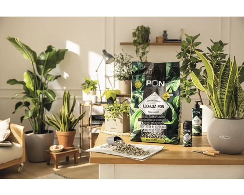 Substrat de creștere LECHUZA-PON pentru plante de apartament pe o masă cu plante de apartament