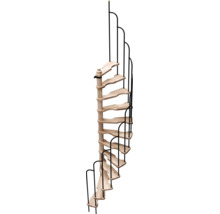 Scară în spirală din lemn deschis cu balustradă din metal negru.