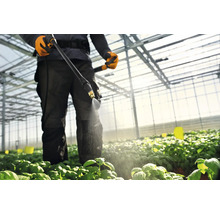 Un bărbat udă plante cu un pulverizator într-o seră.