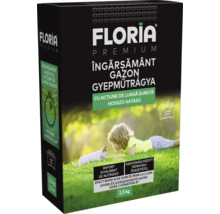 Pachet de îngrășământ pentru gazon Floria Premium cu copil și câine în iarbă