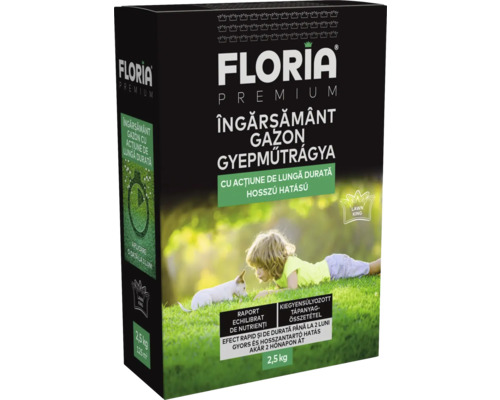 Pachet de îngrășământ pentru gazon Floria Premium cu copil și câine în iarbă