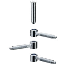 Balamale de ușă cu șurub și știft