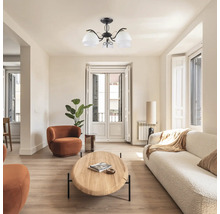 Cameră de zi cu plafonieră, canapea, fotoliu și masă din lemn