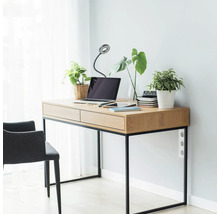 Birou cu laptop, lampă și plante într-o cameră luminoasă