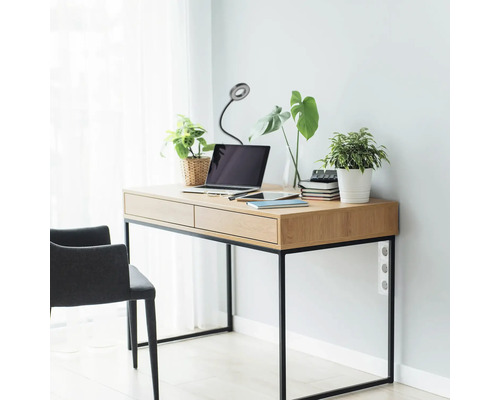 Birou cu laptop, lampă și plante într-o cameră luminoasă