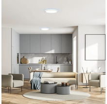 Cameră de zi modernă cu bucătărie încorporată, lămpi de tavan și decor minimalist