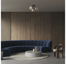 Living cu canapea, masă și plafonieră